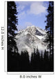 Cascade Mountains In Banff Wall Mural
