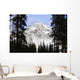 Cascade Mountains In Banff National Park, Alberta, Canada Wall Mural