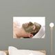 mud mask facial Wall Mural