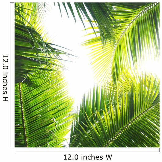 Palm Jungle Wall Mural