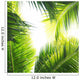 Palm Jungle Wall Mural