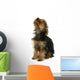 Yorkshire Jeune Chiot La Wall Mural