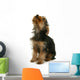 Yorkshire Jeune Chiot La Wall Mural