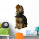 Yorkshire Jeune Chiot La Wall Mural