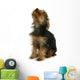 Yorkshire Jeune Chiot La Wall Mural