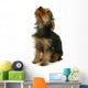 Yorkshire Jeune Chiot La Wall Mural