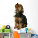 Yorkshire Jeune Chiot La Wall Mural