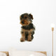 Yorkshire Jeune Chiot Wall Mural
