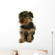 Yorkshire Jeune Chiot Wall Mural