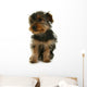 Yorkshire Jeune Chiot Wall Mural