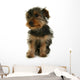 Yorkshire Jeune Chiot Wall Mural