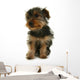 Yorkshire Jeune Chiot Wall Mural