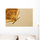 Seashell Wall Mural