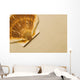 Seashell Wall Mural