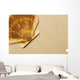 Seashell Wall Mural