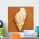 Seashell Wall Mural