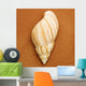 Seashell Wall Mural