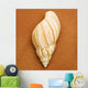 Seashell Wall Mural