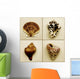 Seashell Composite Wall Mural