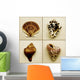 Seashell Composite Wall Mural