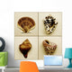 Seashell Composite Wall Mural