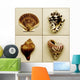 Seashell Composite Wall Mural