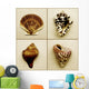 Seashell Composite Wall Mural