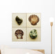 Seashell Composite Wall Mural