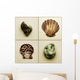 Seashell Composite Wall Mural