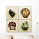 Seashell Composite Wall Mural