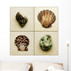 Seashell Composite Wall Mural