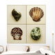 Seashell Composite Wall Mural