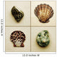 Seashell Composite Wall Mural