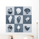Seashell Composite Wall Mural