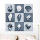 Seashell Composite Wall Mural