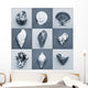 Seashell Composite Wall Mural
