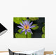 Purple Water Lily Wall Mural