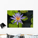 Purple Water Lily Wall Mural