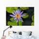 Purple Water Lily Wall Mural