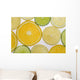 Citrus Slices Wall Mural