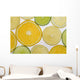 Citrus Slices Wall Mural