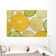 Citrus Slices Wall Mural