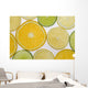 Citrus Slices Wall Mural