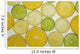 Citrus Slices Wall Mural