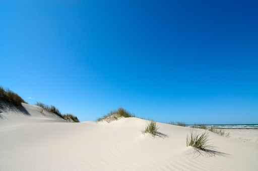 Summertime Denmark Wall Decal