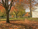 Country Autumn Wall Decal
