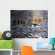 Reflection Puddles after Rain Wall Decal