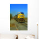 Train Wall Mural