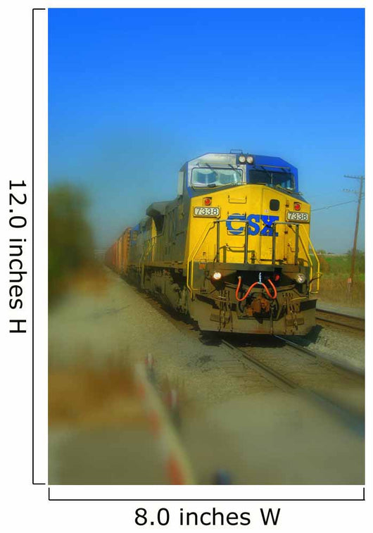 Train Wall Mural