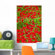 Poppy Field Wall Mural